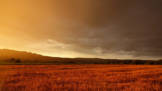 dawn, landscape, nature, sky thumbnail