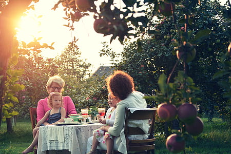 two women with children sitting in front of table surrounded by trees thumbnail