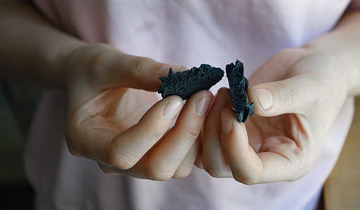Person's Hand Holding Black Biscuit thumbnail