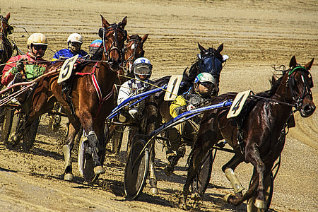 men riding horse during daytime thumbnail