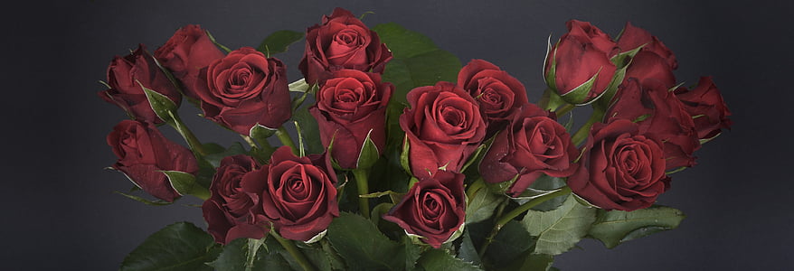 seventeen red roses thumbnail