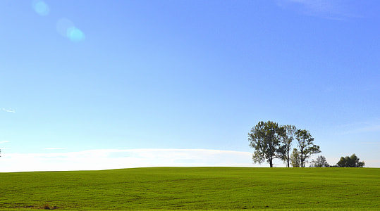 green field during day time wallpaper thumbnail
