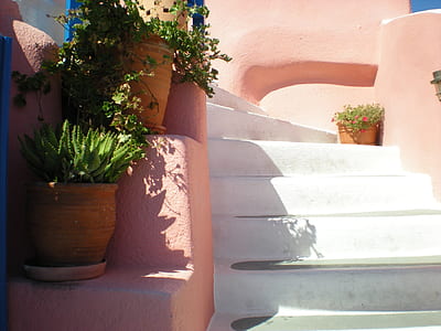 variety of plants on pot beside stairs thumbnail