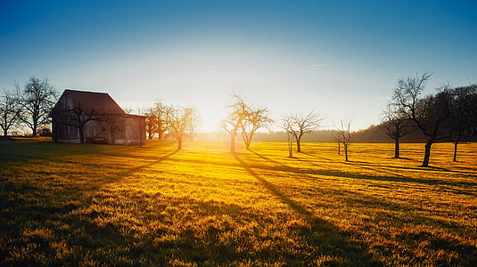 brown plain field during day time thumbnail