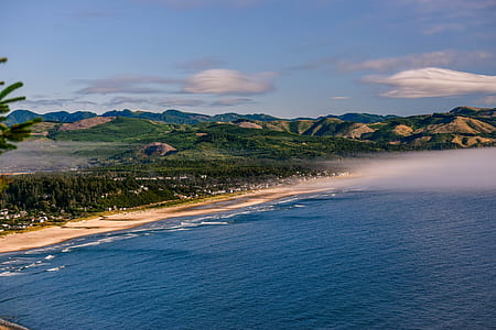 beach, lanscape, hill, cloud, forest, coastal thumbnail