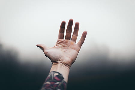 left human hand with tattoo selective focus photography thumbnail