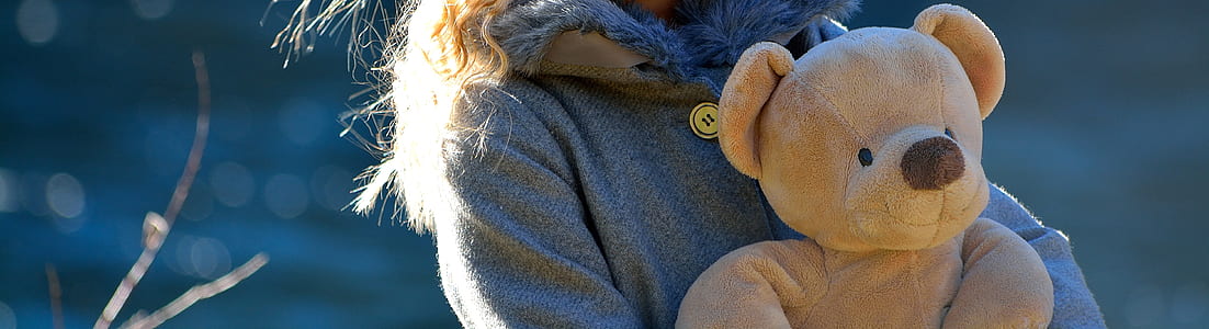 person holding beige bear plush toy thumbnail