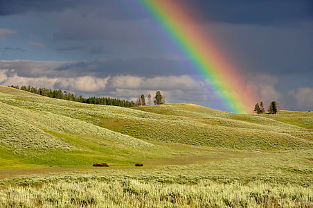 landscape photography of green grass field thumbnail