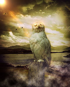 painting of white owl thumbnail