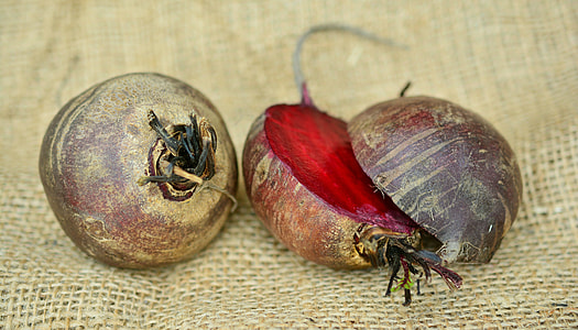 sliced beet thumbnail