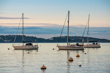 three gray sail boats on sea thumbnail