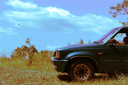 blue car parked on grass field thumbnail
