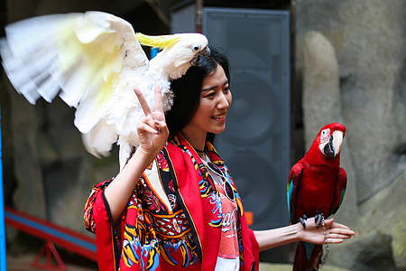 woman wearing red dress thumbnail