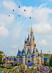 Disneyland castle thumbnail