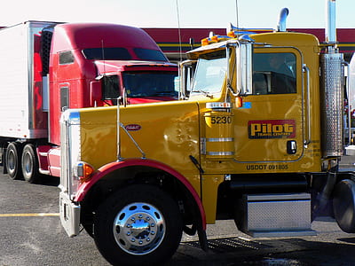 two yellow and black trucks on road thumbnail