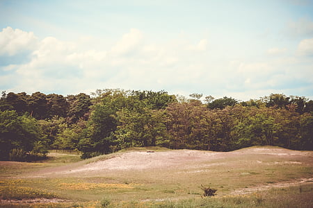 landscape photo of island with trees at daytime thumbnail
