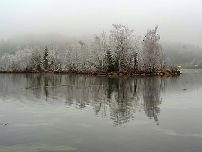 spring river near green pine trees thumbnail