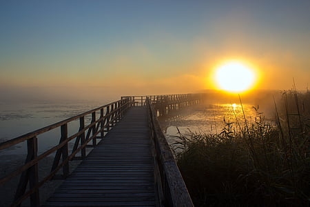 wooden dock on body of water during sunset thumbnail