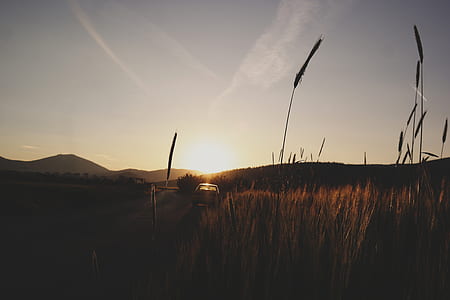 light, dawn, landscape, nature thumbnail