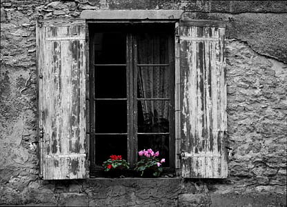 photo of potted plants on opened window thumbnail