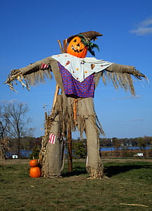 orange Jack-o-lantern scarecrow at daytime thumbnail