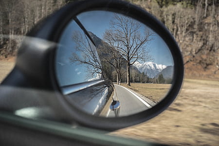 light, road, trees, glass thumbnail