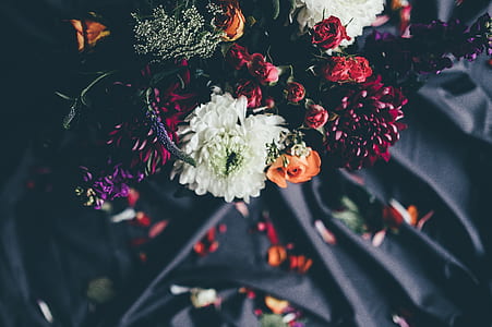 white and red petaled flowers thumbnail