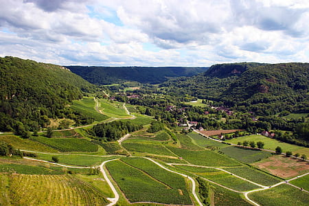 aerial photo of green crops field thumbnail