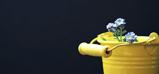 blue and white flowers in yellow steel can thumbnail
