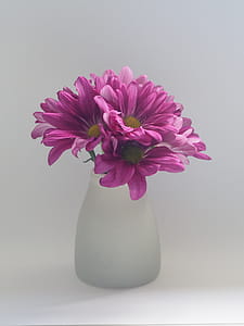 Pink Flowers on White Vase thumbnail