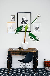green palm plant in white vase near white painted wall thumbnail