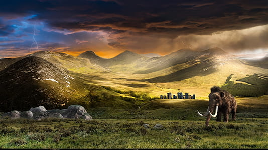 mammoth walking on grass field digital wallpaper thumbnail