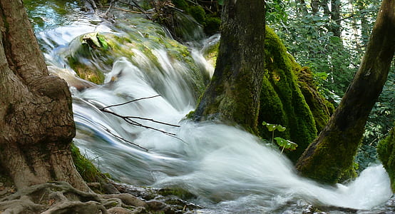 waterfall near tree timelapse photography thumbnail