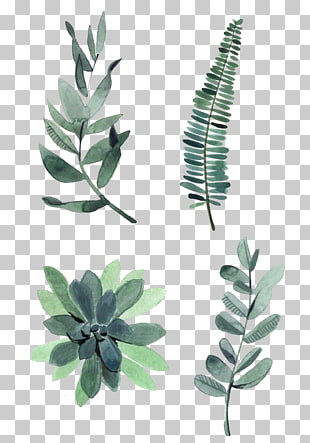 Watercolor painting Drawing Plant Illustration, Watercolor leaves, four assorted green leaves PNG clipart