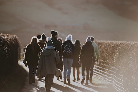 group of people walking near fence with topiary thumbnail