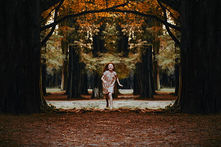 person, woman, girl, trees thumbnail