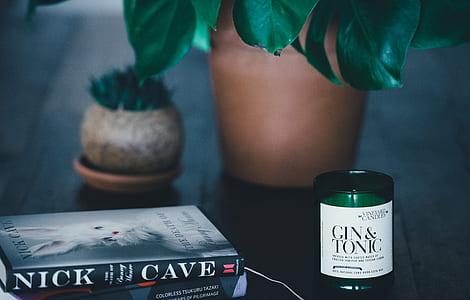 Nick Cave book near Gin & Tonic bottle thumbnail
