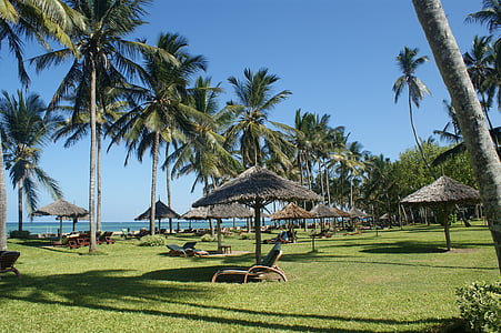 beach hut on green grass field thumbnail
