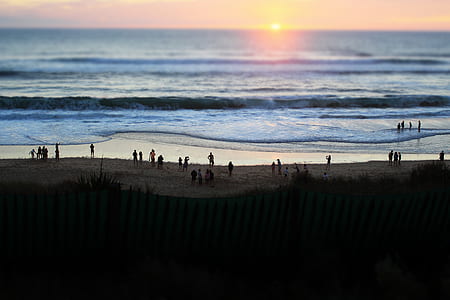 silhouette of people on seashore thumbnail