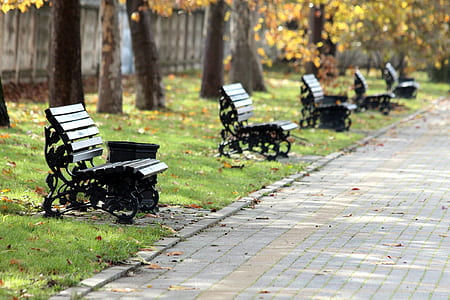 black metal bench on street beside trash bin near trees thumbnail
