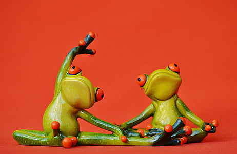 two frog performing yoga stunds decor thumbnail