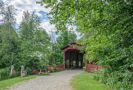 brown wooden bridge beside trees thumbnail