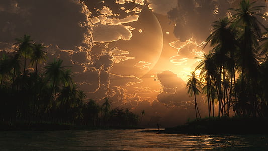 body of water between palm trees thumbnail