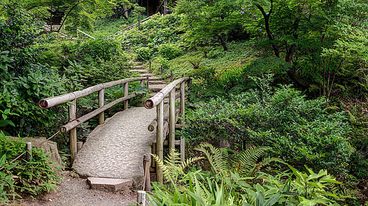 brown bamboo bridge rail surrounded by green leafed trees thumbnail