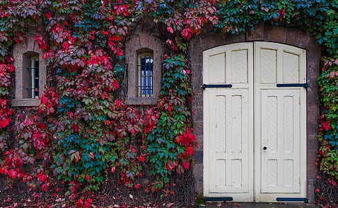 white wooden doors thumbnail