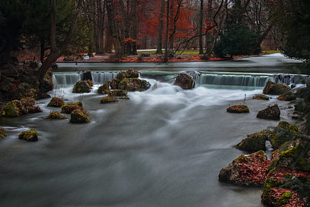 water stream and trees photo thumbnail
