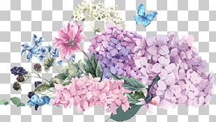 Hydrangea Flower Wedding invitation Stock photography Illustration, Hand-painted watercolor bouquet, assorted-color flowers illustration PNG clipart