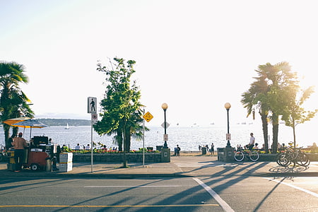 body of water near trees thumbnail