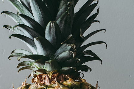 Close Up Photo of Green Pineapple thumbnail