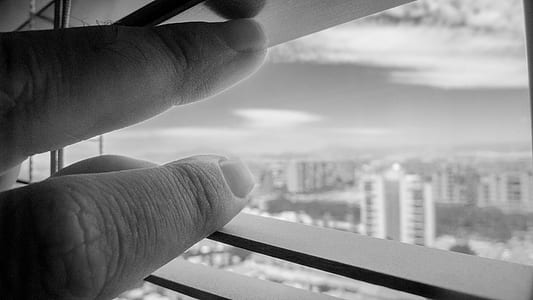 grayscale photo of person's hand opening window blind thumbnail